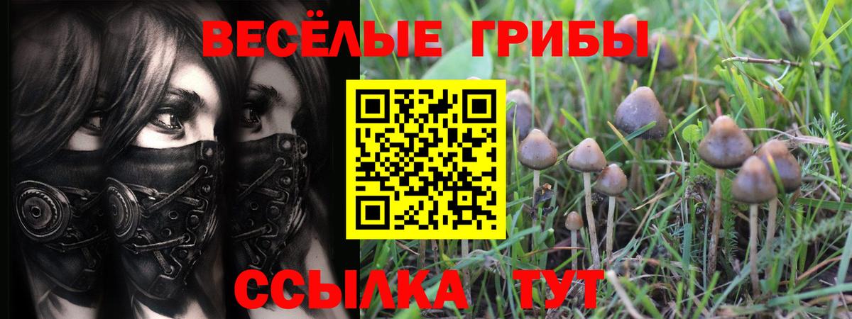 Галлюциногенные грибы Magic Shrooms  Вход с VPN  Псилоцибиновые грибы ЛСД  Бийск 
